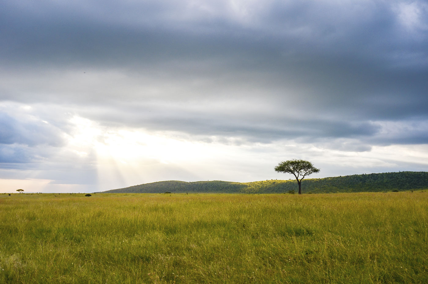 Keeping the grasslands growing