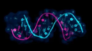 MicroRNA