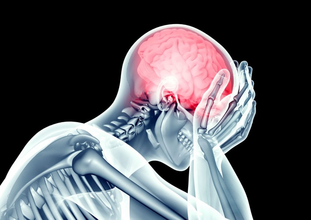From body to brain, and back again