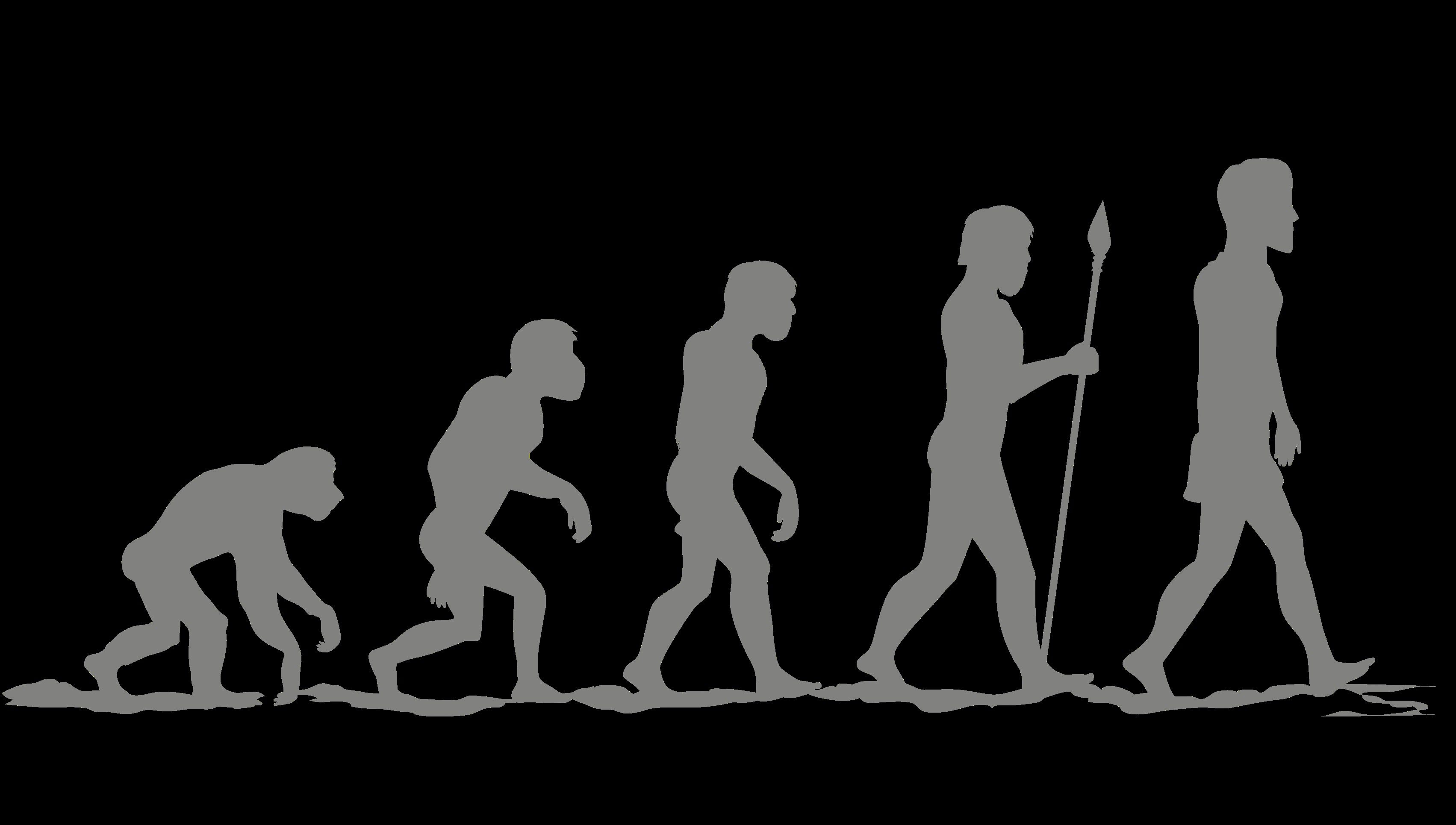 the-evolution-of-human-evolution