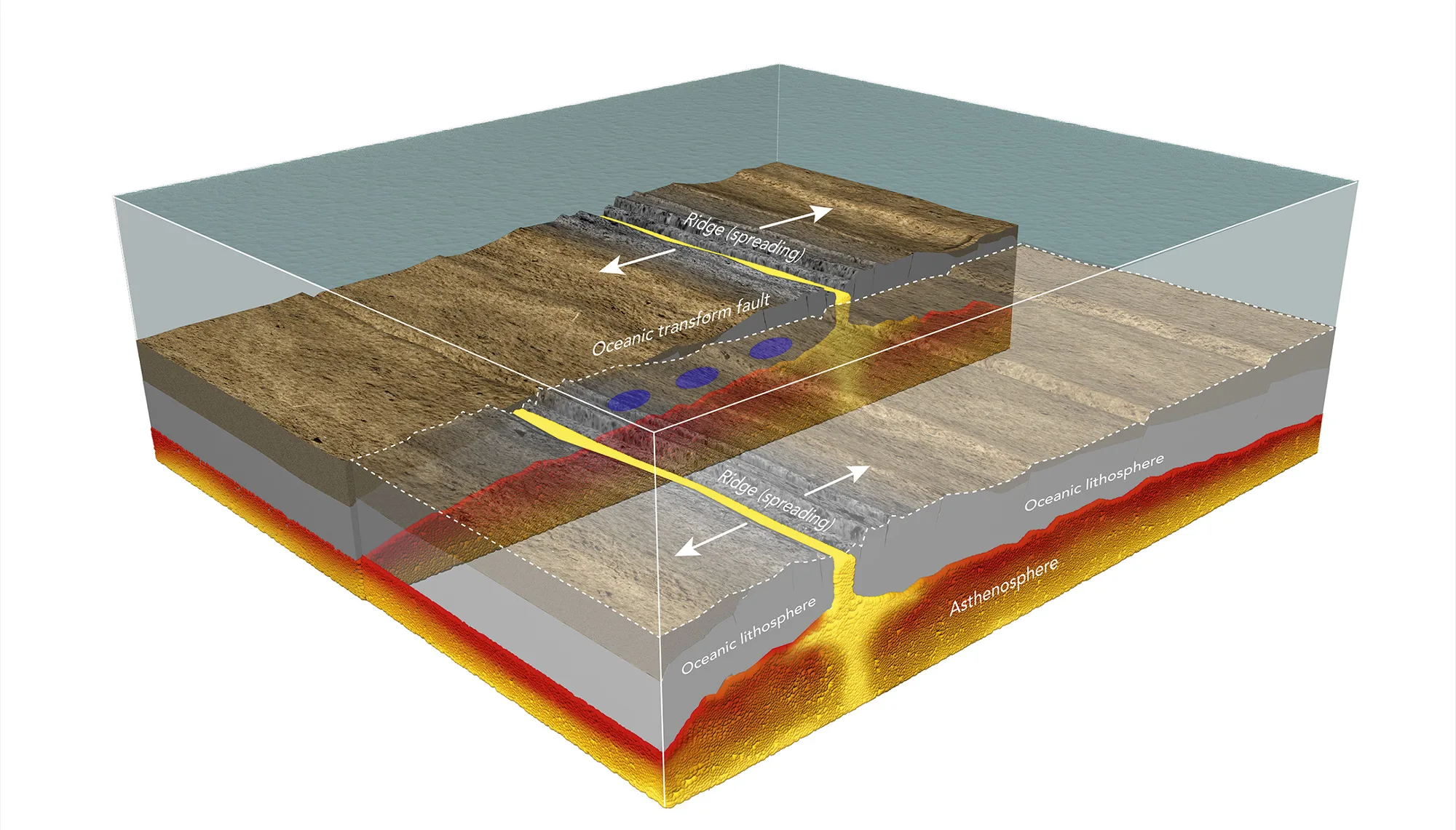 Transform Fault Diagram