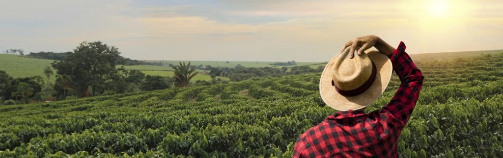 A man is standing facing away from the camera, looking out over a field. He is wearing a red and black checked shirt, and a straw hat. Xóchitl Bada and Jonathan Fox research population and migration trends in rural Mexico, analysing census data to explore the current trend of rural populations staying and not migrating to the US.