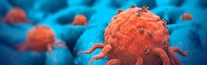 Professor Helin Norberg and her team study chaperone-mediated autophagy (CMA) and generated a LAMP-2A KO model in human cancer cells.