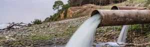 Professor Fabian Fischer and his team at HES-SO in Switzerland use electrogenic bacteria in microbial fuel cells (MFCs) to convert energy from sewage into electricity.