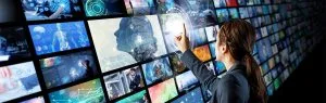 digital scholarly preservation